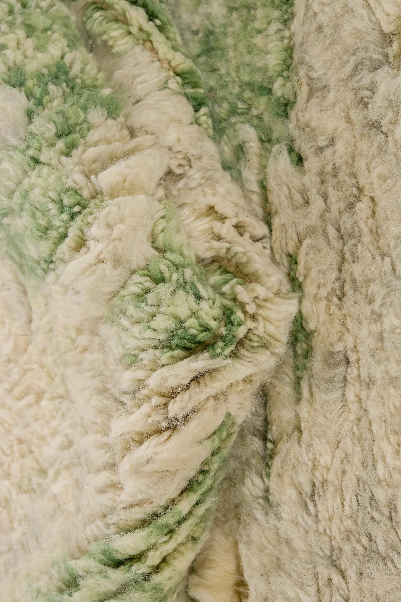 TCT2015 Image 2