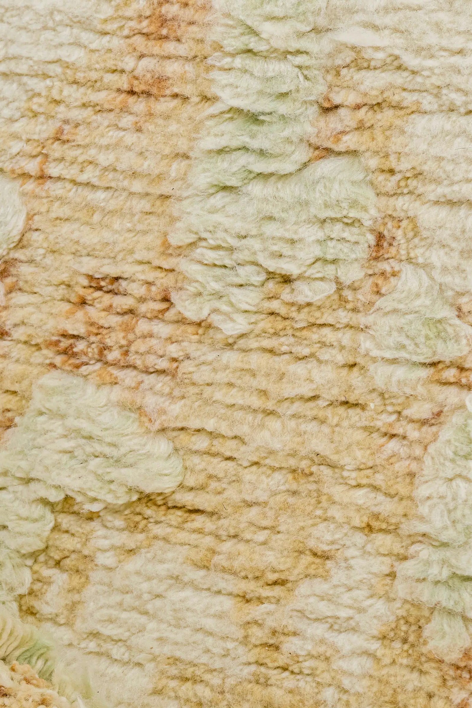 TCT2016 Image 2