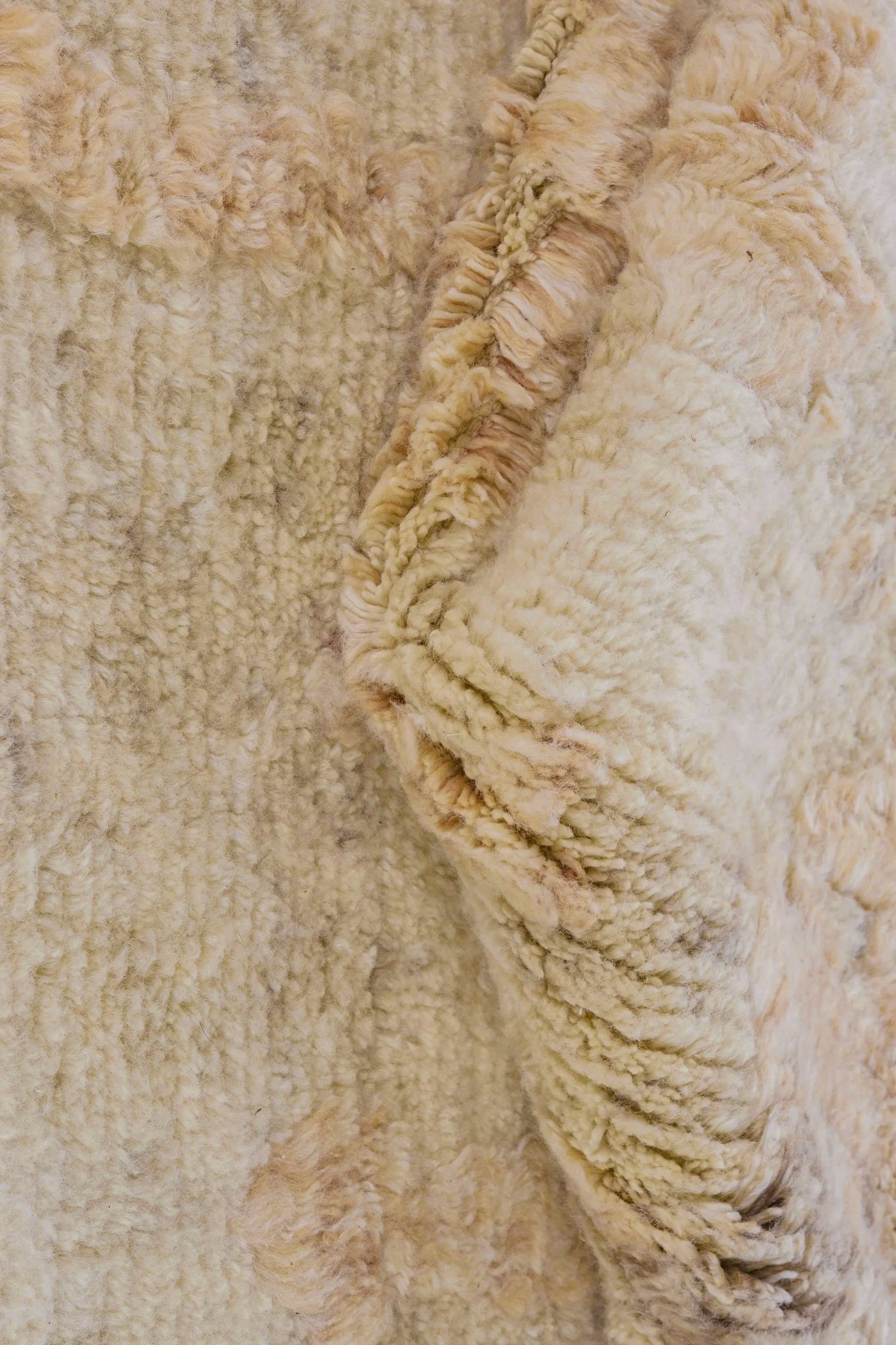 TCT2017 Image 3