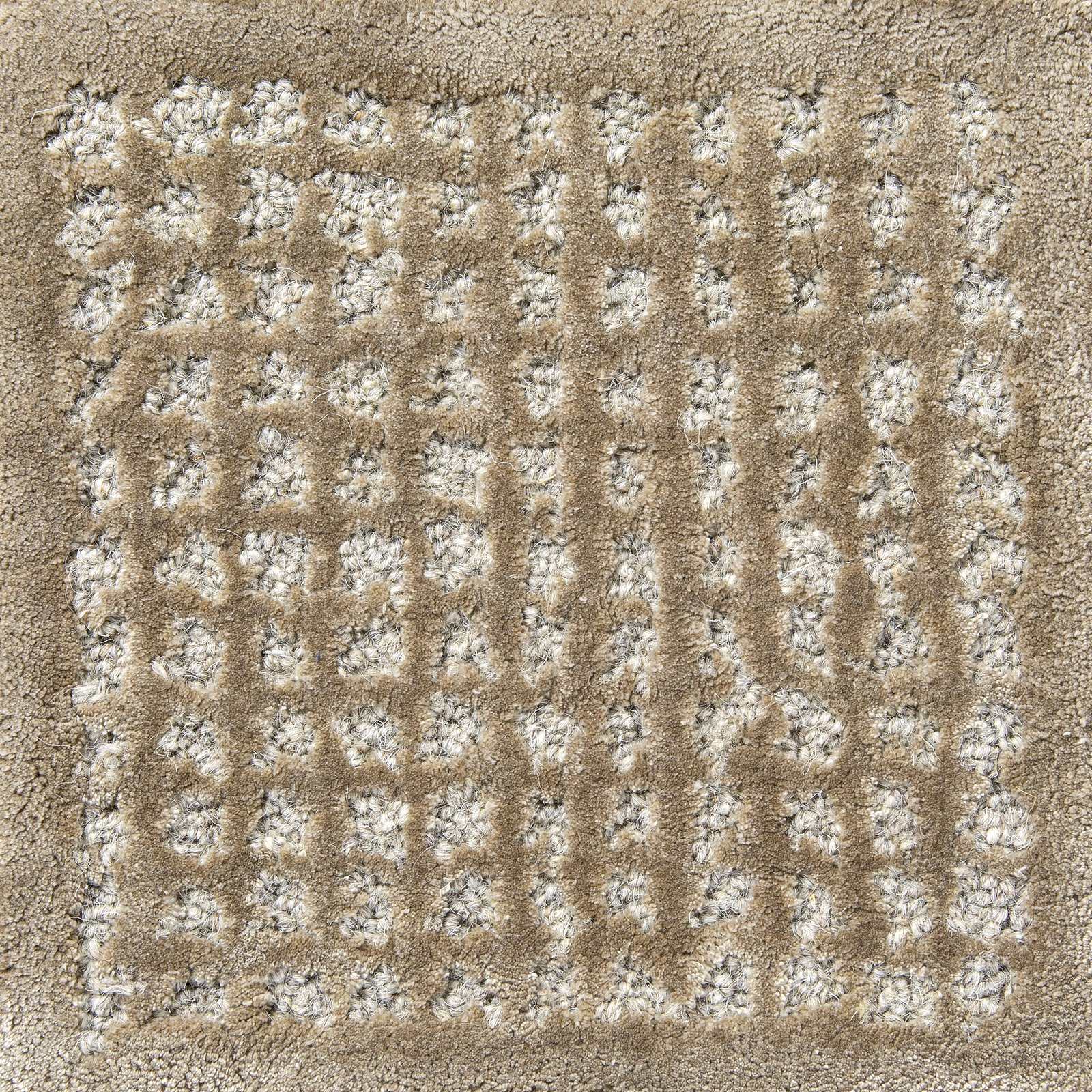 TCM6003 Image 2