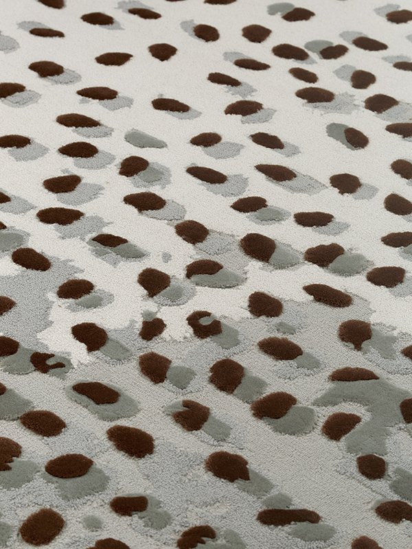 TCM6019 Image 2
