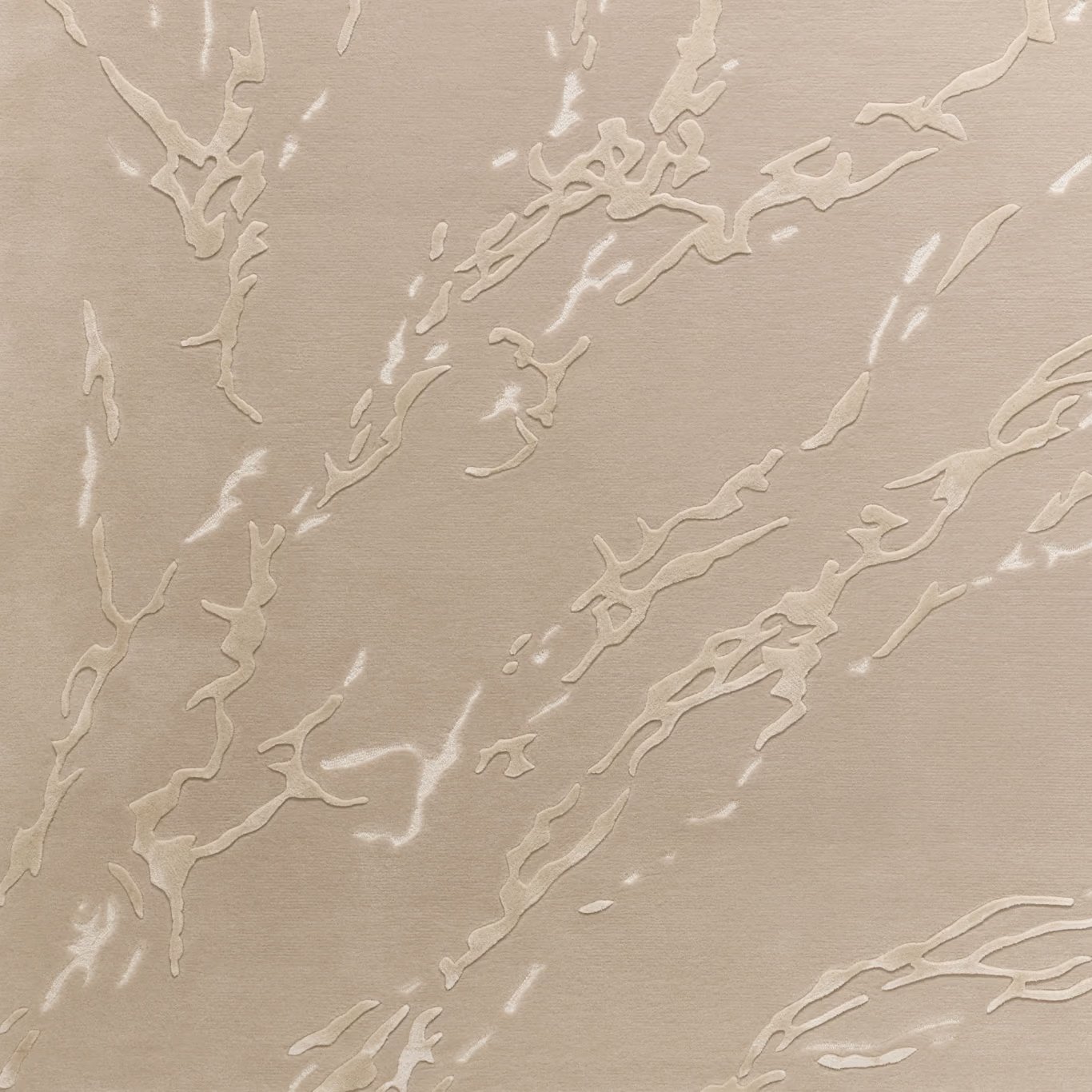 TCM6022 Image 2