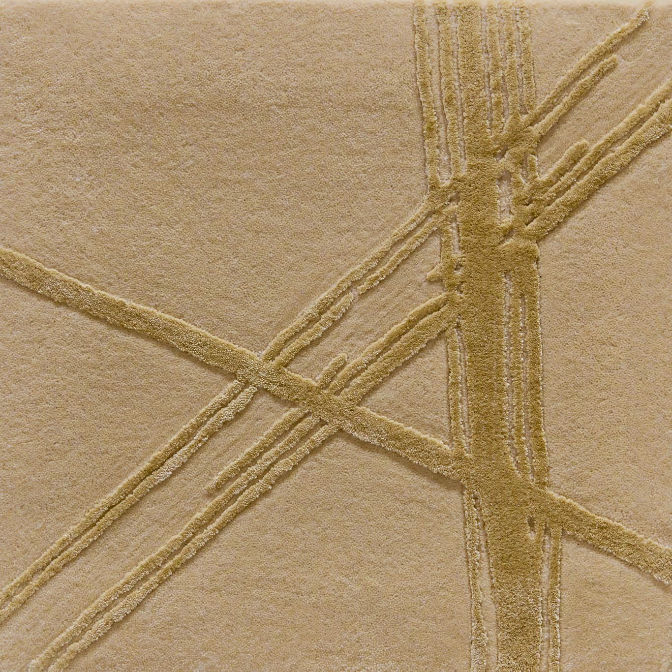 TCM6023 Image 2