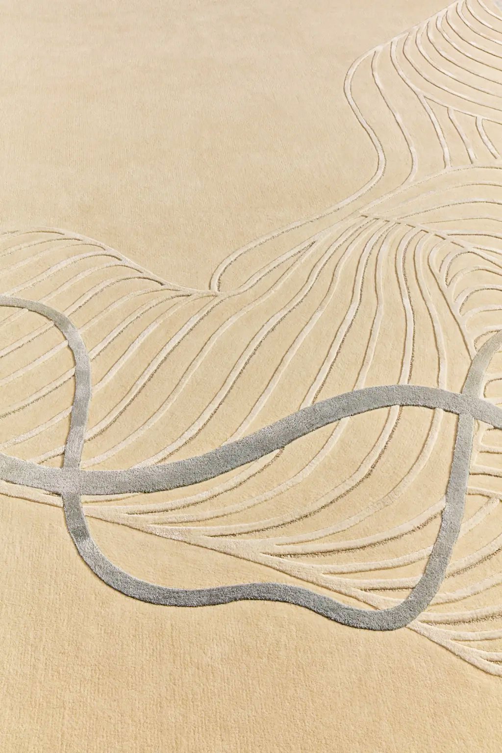 TCM6024 Image 3