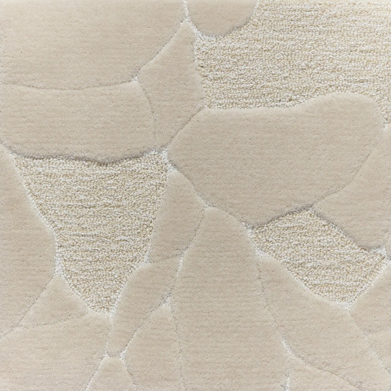 TCS8006 Image 2